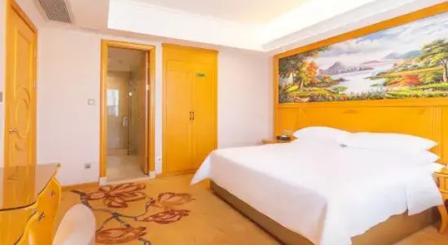 Двухместный люкс Luxury с видом на город Vienna International Hotel (Boluo Longxi)