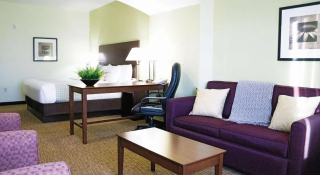 Двухместный номер Executive La Quinta by Wyndham Lubbock North
