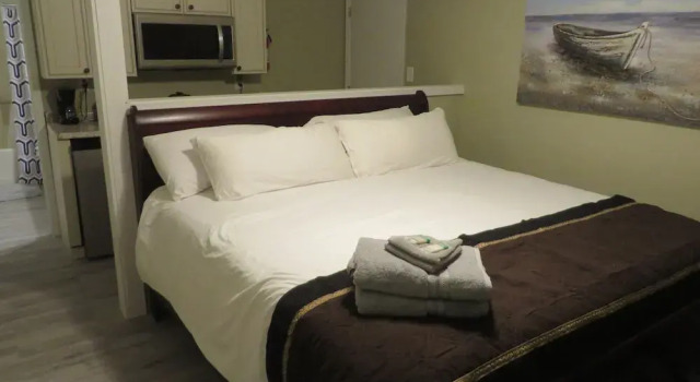 Студия Luxury Atlanta Hartsfield Guesthouse