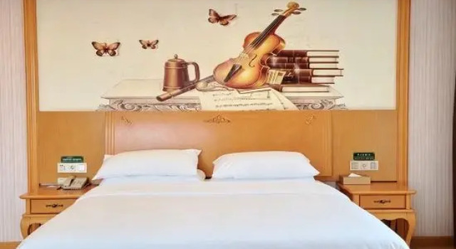 Люкс Deluxe Vienna Hotel (Xinyi Jiaoyucheng River View)