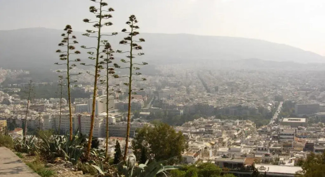 Апартаменты Hidesign Athens Luxury Apartments in Kolonaki