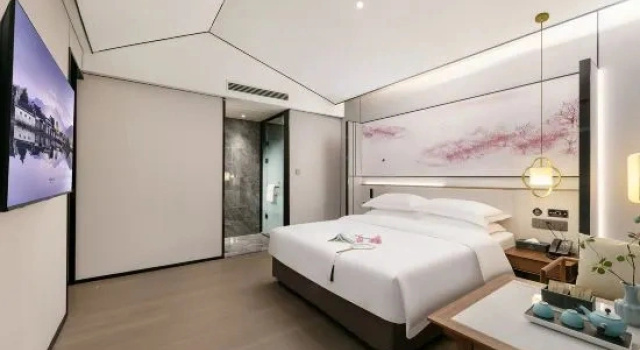 Люкс c 1 комнатой Moshang Qingya Hotel