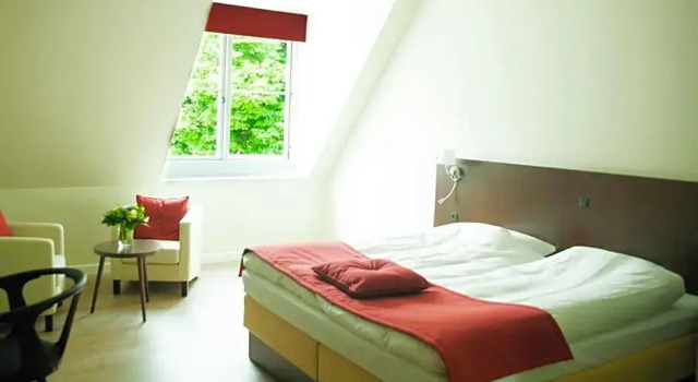Superior room Bramslevgaard