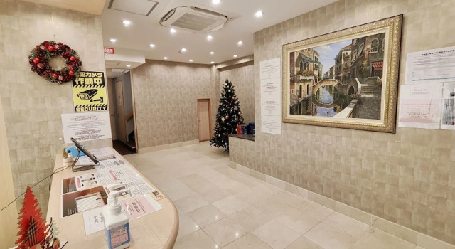 Dotonbori Shinsaibashi Hotel