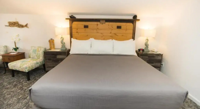 Номер Standard Canterbury Inn