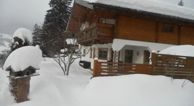 Апартаменты Standard Appartement Thunhart Wilfried&Elisabeth