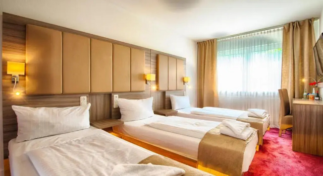 Трёхместный номер Standard Hotel Richter