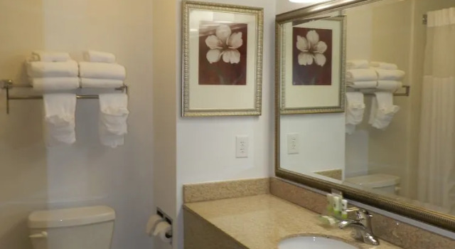 Люкс c 1 комнатой Country Inn & Suites by Radisson, Braselton, GA