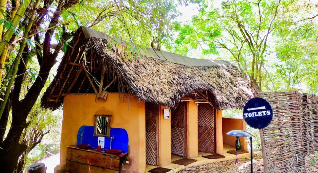 Двухместный номер Comfort Distant Relatives Ecolodge & Backpackers