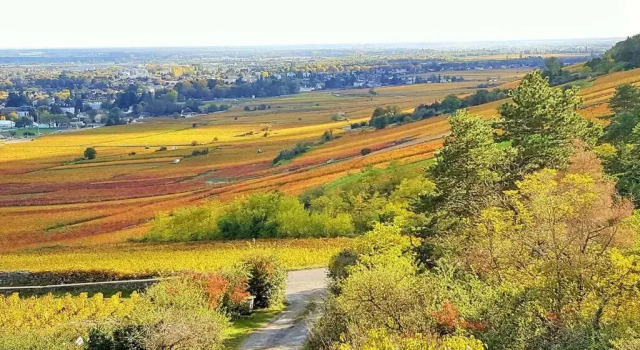 Коттедж La Maison de l'Ecu : charme et vue incroyable