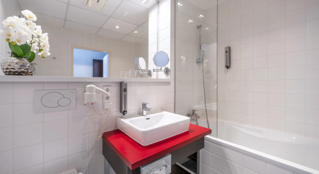 Двухместный номер Standard PLAZA INN Graz City