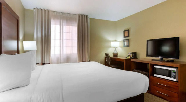 Двухместный номер Standard Spark by Hilton Phoenix-Glendale-Peoria