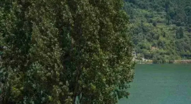 Youzi Inn, Rezerwuj Hotel Hangzhou Zhejiang
