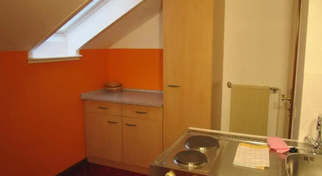 Апартаменты Hotel Pension Marie-Luise, Hotel garni,Therme plus