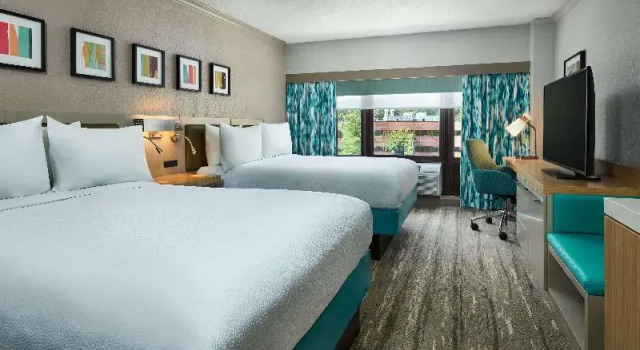 Шестиместный номер Standard Hilton Garden Inn Tewksbury Andover