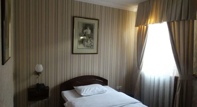 Одноместный номер Standard Papillon Hotel
