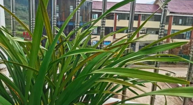 Jinggangshan Yueke Zhi Jia Homestay, Rezerwuj Hotel Jian Jiangxi