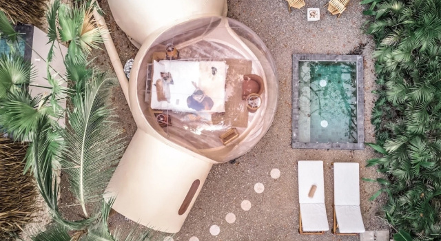 Номер Standard Satori The Bubble Experience Lodge