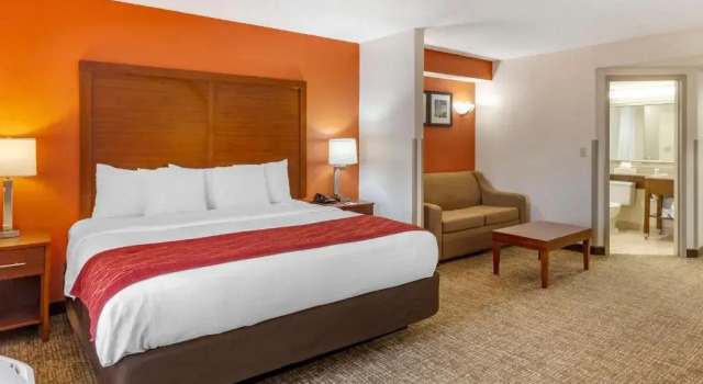 Люкс Comfort Inn Greensboro - Kernersville