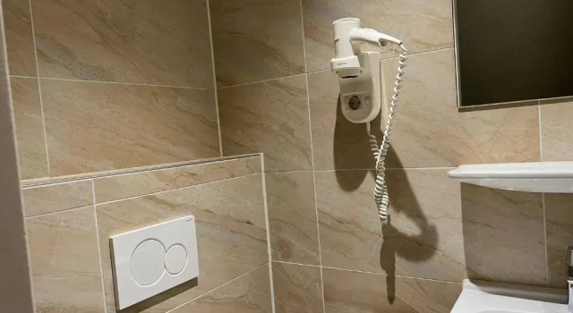 Трёхместный номер Comfort Blossoms City Hotel