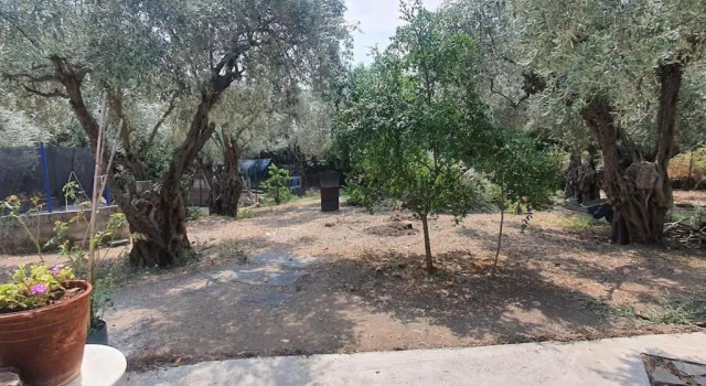 Cheerful 3 bedroom house with open fireplace, Book Hotel South Pelion Thessalia