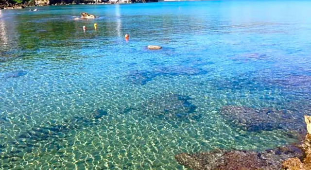 B&B degli Aranci, Buchen Sie Bed & Breakfast Centola Cilento Coast