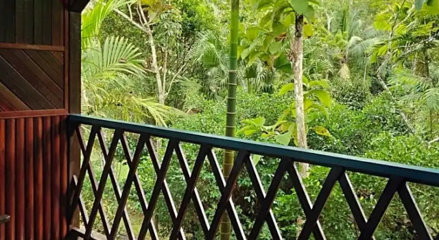 Двухместный номер Deluxe Sepilok Jungle Resort