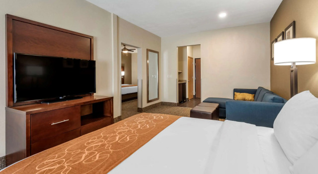 Четырёхместный номер Standard Comfort Suites Auburn near I-69