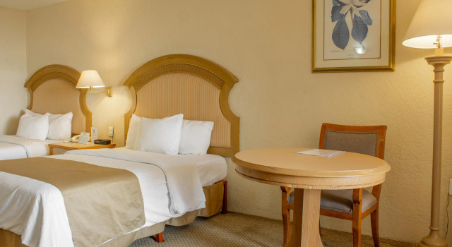 Четырёхместный номер Standard Best Western PLUS Plaza Florida & Tower