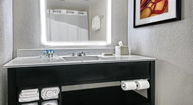 Люкс Holiday Inn & Suites College Station-Aggieland by IHG