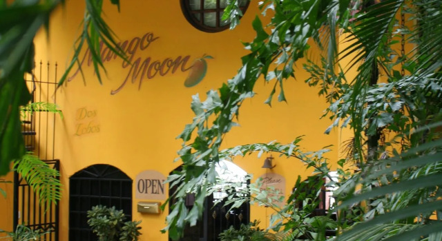 Mango Moon Villa, Prenota Villa Quepos Puntarenas