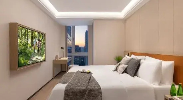 Номер Executive Somerset Wanxia Shenzhen