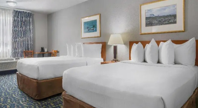 Четырёхместный номер Standard SureStay Plus Hotel by Best Western Lethbridge