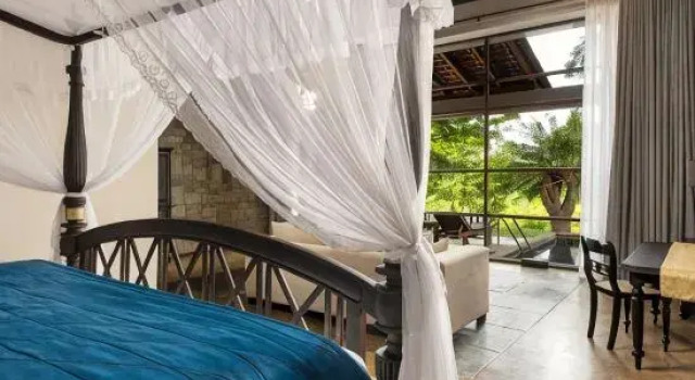 Люкс Ayugiri Ayurveda Wellness Resort Sigiriya