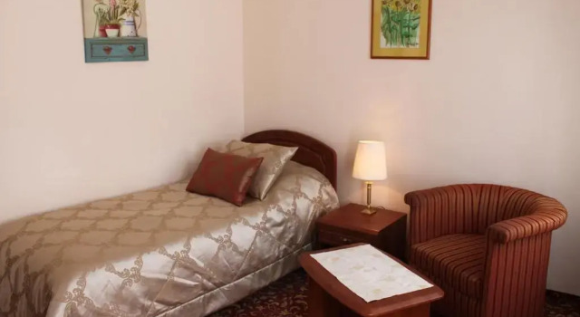 Номер Standard Spa Hotel Purkyně