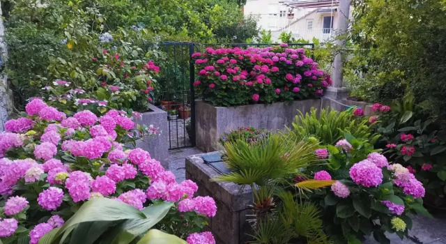 Апартаменты c 1 комнатой Apartments Sensa Dubrovnik