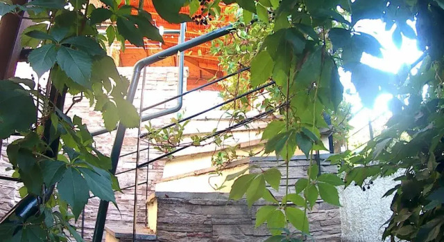 Коттедж Villa Sani