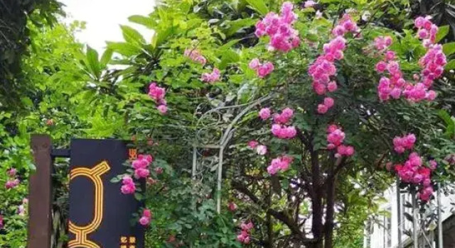Hangzhou Dreamweaver Island B&B