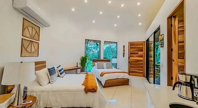 Arenal Palms