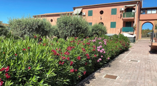 Apartment - Sleeps 3 & Swimming Pool