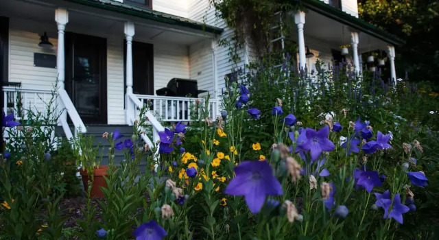 The Yarra, Buchen Sie Pension Roscoe 