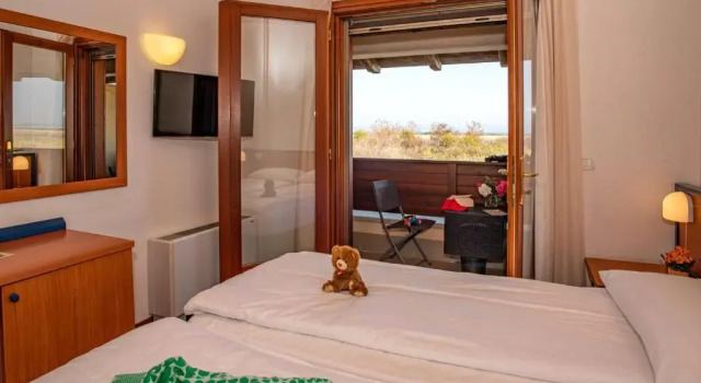 Двухместный номер Standard с балконом Hotel Caneo