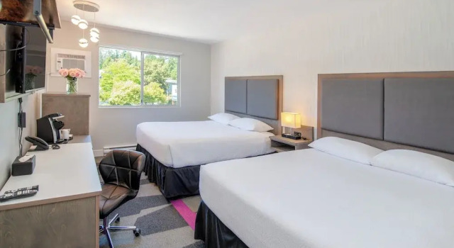 Четырёхместный номер Deluxe The Spot at Porpoise Bay