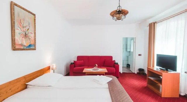 Номер Standard Guest House Casa Baciu