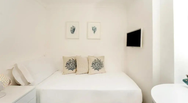 Одноместный номер Hotel Syrene