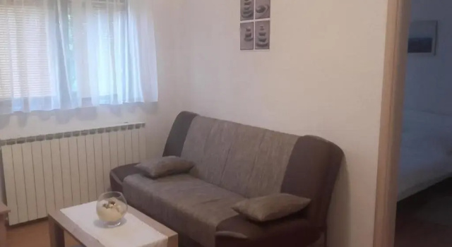 Апартаменты c 1 комнатой Apartment Pavlešić