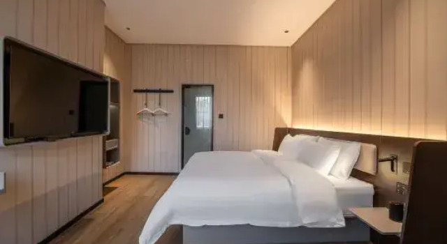 Люкс Deluxe HanTing Hotel (Dongguan Songshanhu)