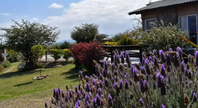 Люкс Cabañas & Suites Vista Hermosa