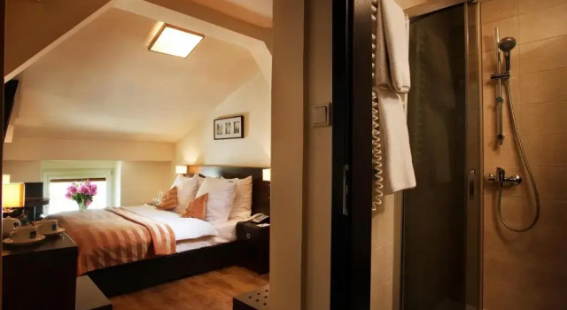 Одноместный номер Spatz Aparthotel