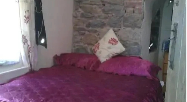The Paddock, Book Mini-hotel Llandyfriog Glamorgan
